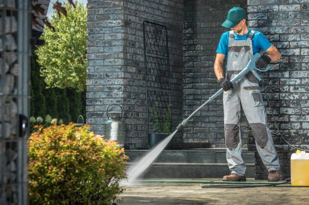 Best Animal Enclosure Cleaning  in De Witt, NY
